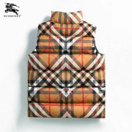 Picture of Burberry Down Jackets _SKUBurberryM-3XL66088594